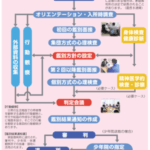 何をしたら鑑別所に入れられる？：少年鑑別所の入所条件と手続きの詳細解説