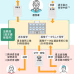 遺言を守らないとどうなる？相続人・関係者が知っておくべき法的リスクと影響