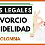 配偶者の浮気を理由に離婚できますか？法的根拠と手続き上の側面